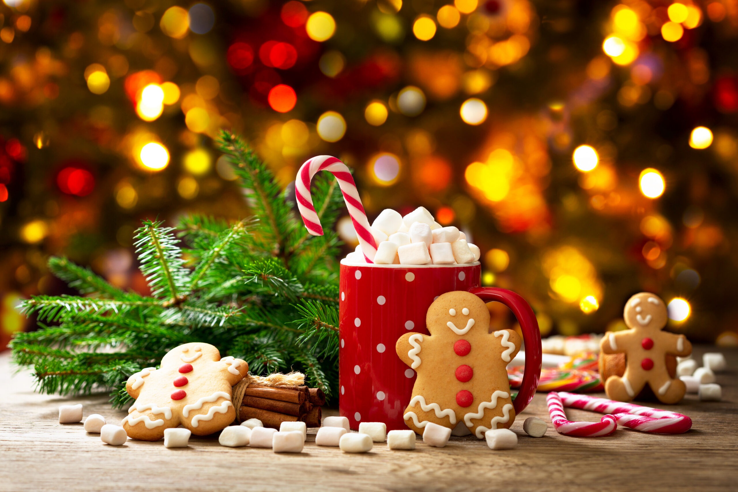 Christmas drink. Cup of hot chocolate with marshmallows and gingerbread cookies